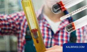 Kalibrasi Hydrometer