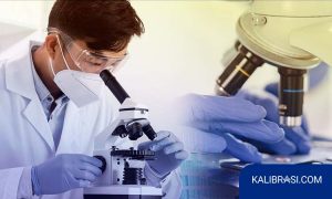 kalibrasi Microscope