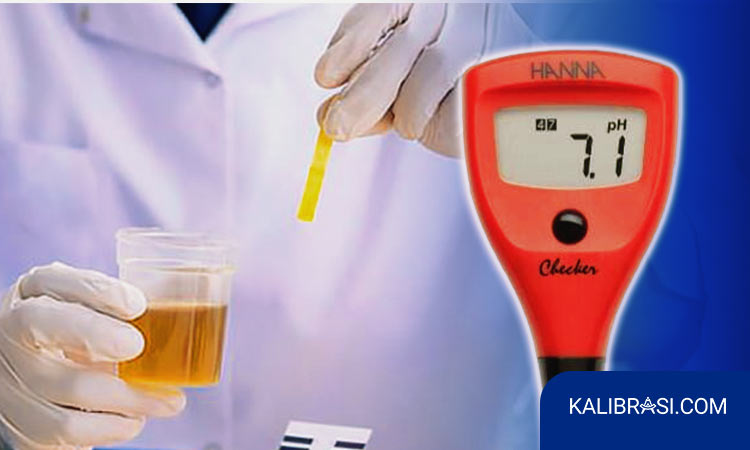 kalibrasi pH checker