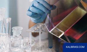 jasa kalibrasi index bias