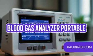 blood gas analyzer portable