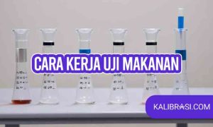 cara kerja uji makanan