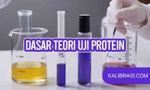 dasar teori uji Protein