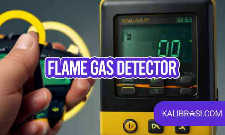 flame gas detector