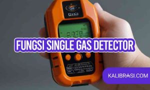fungsi single gas-detector