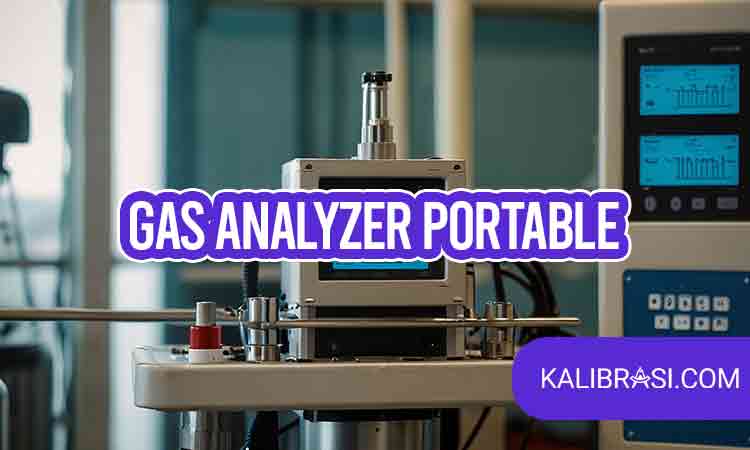 gas analyzer portable