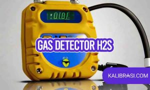 gas detector h2s