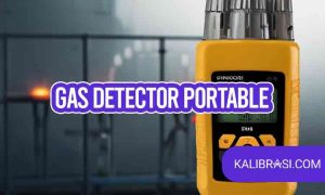 gas detector portable
