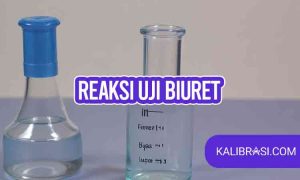 hasil uji biuret