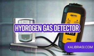 hydrogen gas detector
