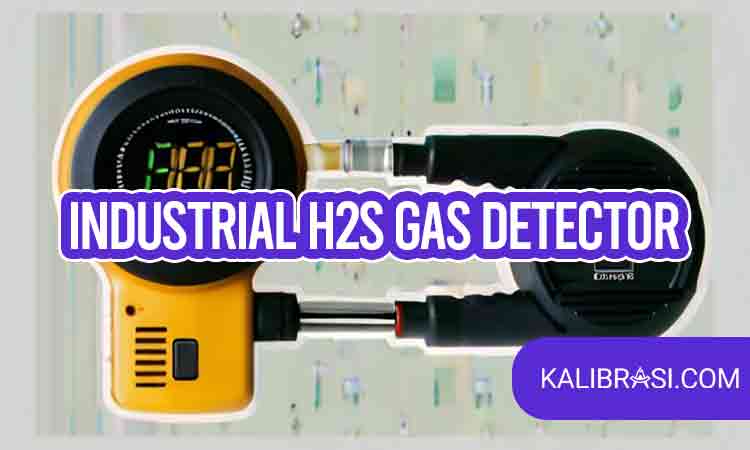 industrial h2s gas detector