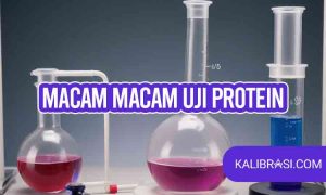 macam-macam uji protein
