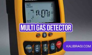 multi gas detector