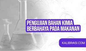 pengujian bahan kimia berbahaya pada makanan