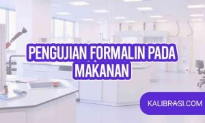pengujian formalin pada makanan