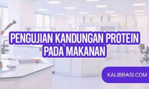 pengujian kandungan protein pada makanan