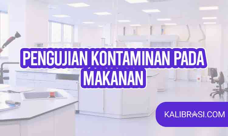 pengujian kontaminan pada makanan