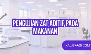 pengujian zat aditif pada makanan