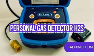 personal gas detector h2s