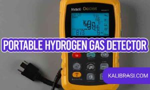 portable hydrogen gas detector