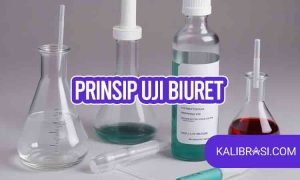 prinsip uji biuret