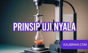 prinsip uji nyala