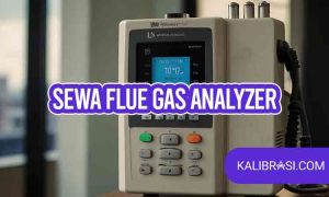 sewa flue gas analyzer