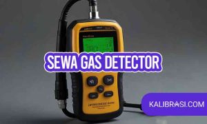 sewa gas detector
