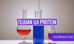 tujuan uji protein