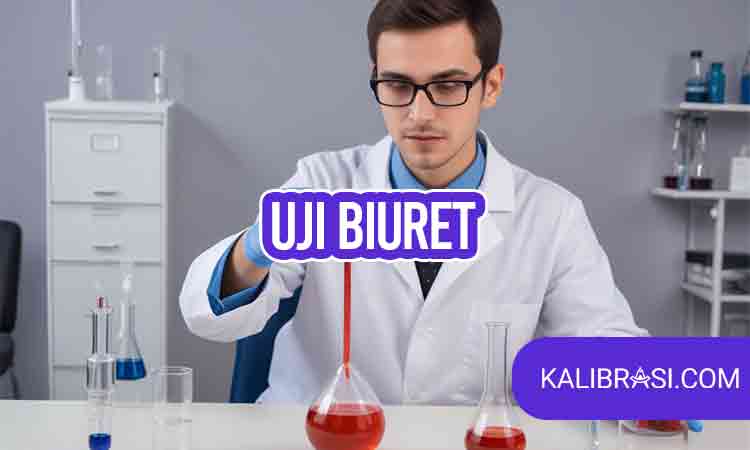 uji biuret