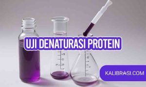 uji denaturasi protein