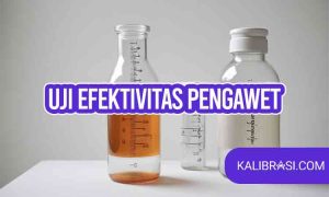 uji efektivitas pengawet