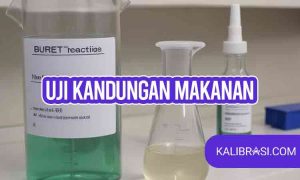 uji kandungan makanan