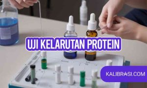 uji kelarutan protein