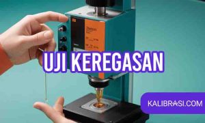 uji keregasan