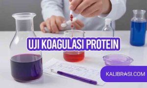 uji koagulasi protein