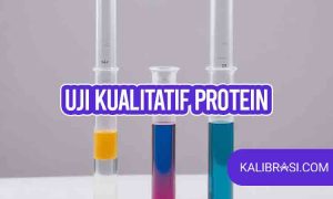 uji kualitatif protein