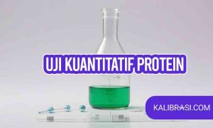 uji kuantitatif protein