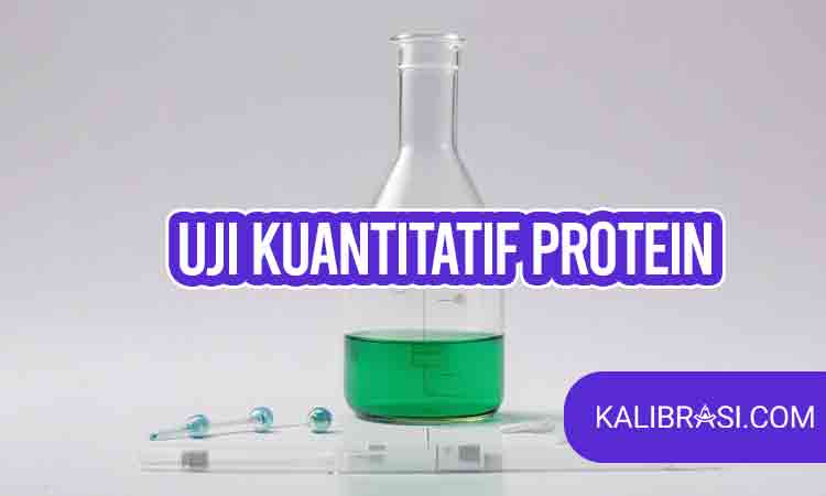 uji kuantitatif protein
