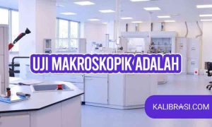 uji makroskopik