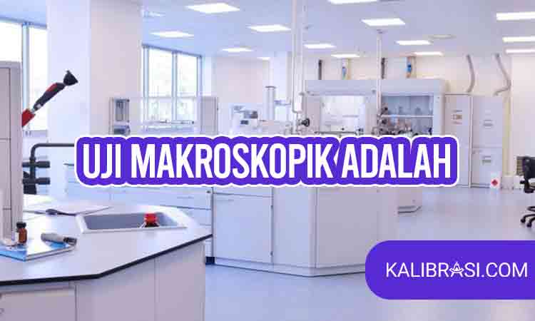 uji makroskopik