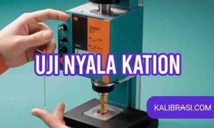 uji nyala kation