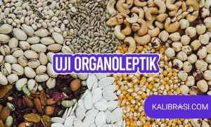 uji organoleptik
