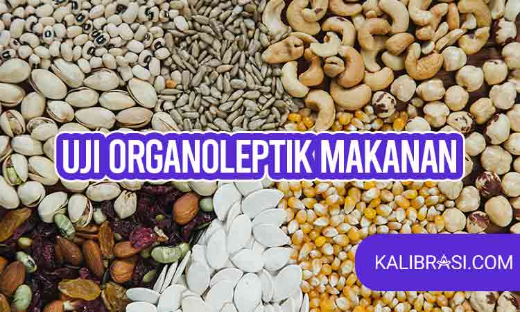 uji organoleptik makanan
