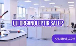 uji organoleptik salep