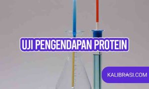 uji pengendapan protein