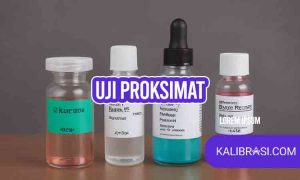 Uji Proksimat