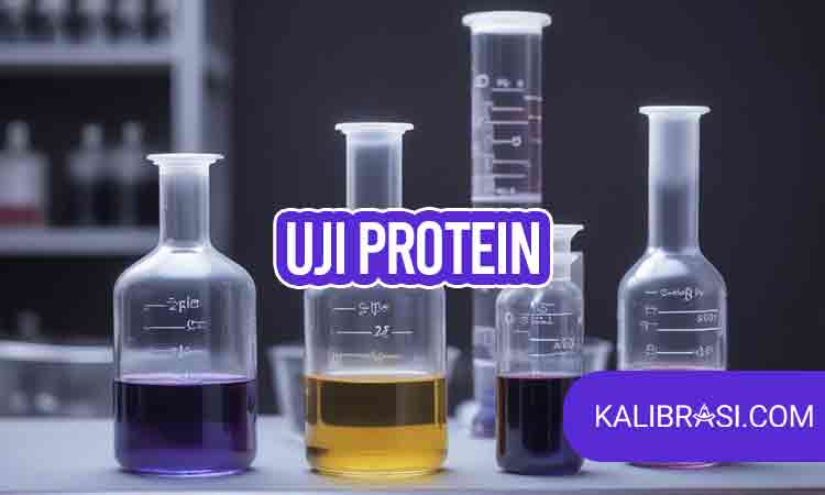 Uji Protein