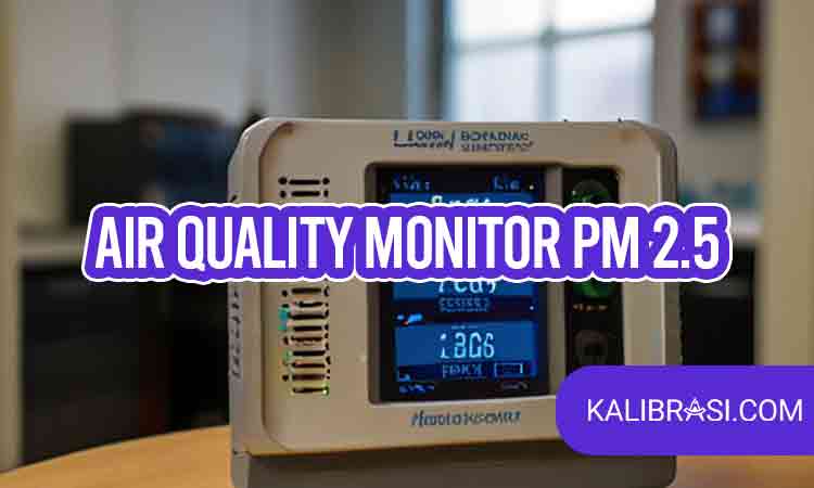 air quality monitor pm 2.5