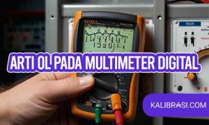 arti ol pada multimeter digital